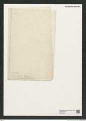 Diatomeae indet. Zeichnungen Sammlung Grunow (NHMW-BOT-W0375832)